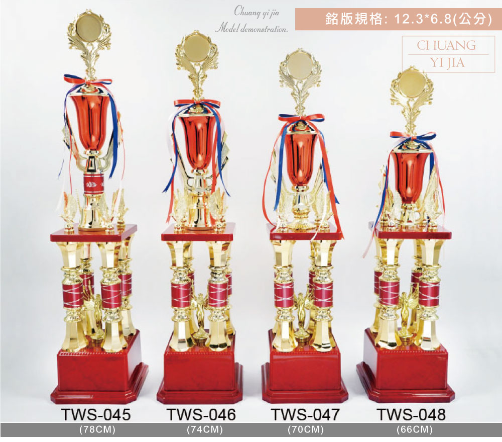 創e家活動獎盃
